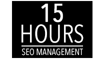 15 Monthly Hours of SEO Management and Optimization